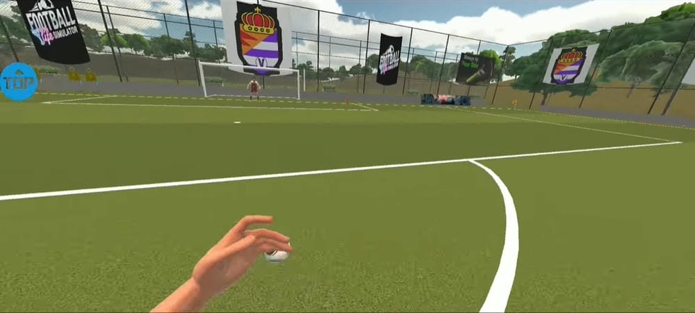 Football Life Simulator