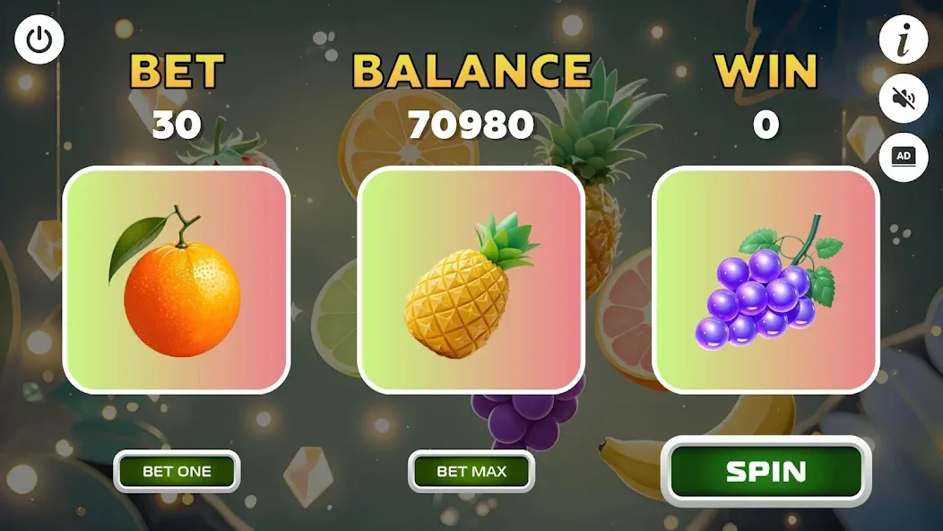 Fortune Winner