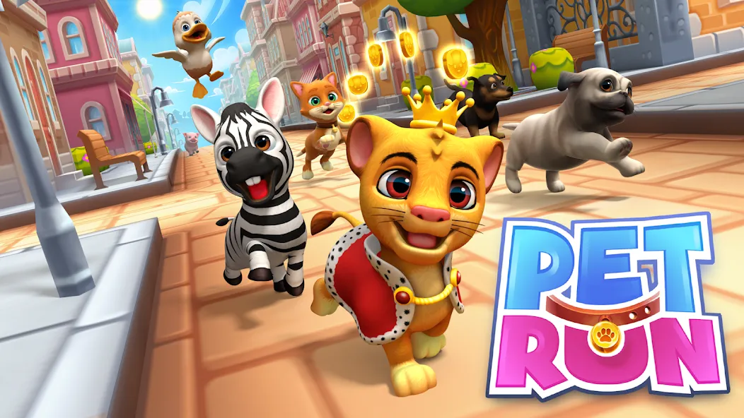 Pet Run