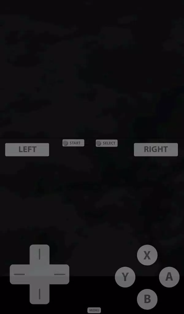 NDS Emulator NDS Emulator