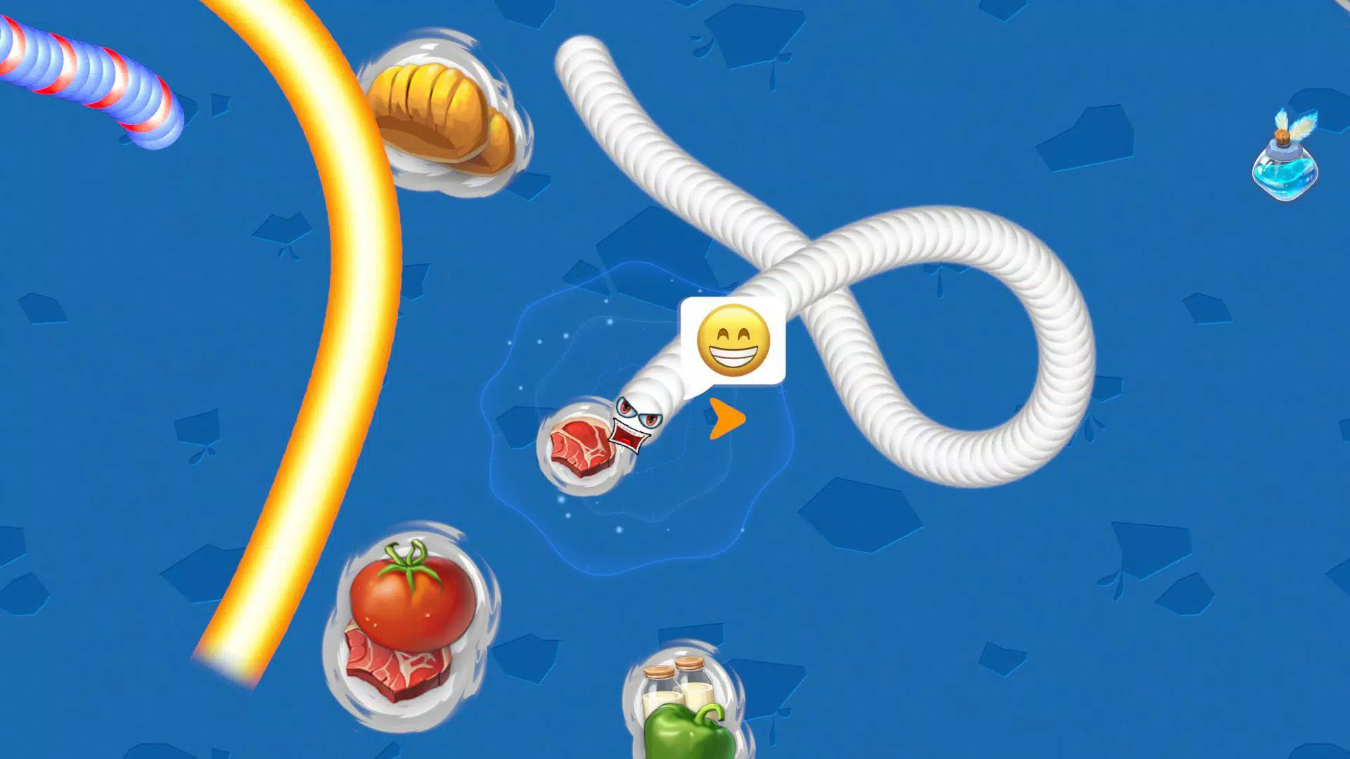 Worm Family Worm Family
