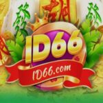 ID66