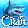 Survival on Raft
