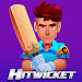 Hitwicket Cricket Game