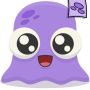 Moy 5