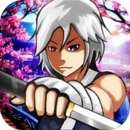 Devil Ninja Fight
