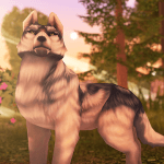 Wolf Tales