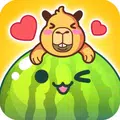 Watermelon Drop: Fruit Merge